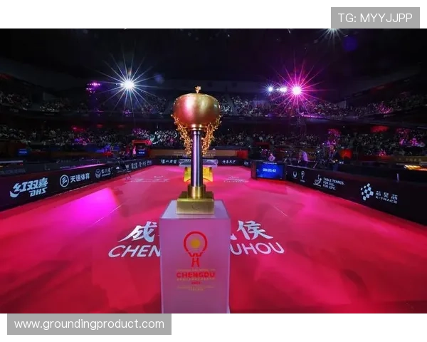 ✅体育直播🏆世界杯直播🏀NBA直播⚽- 受台风“康妮”影响 上海虹桥边检多措并举应对航班备降- sports